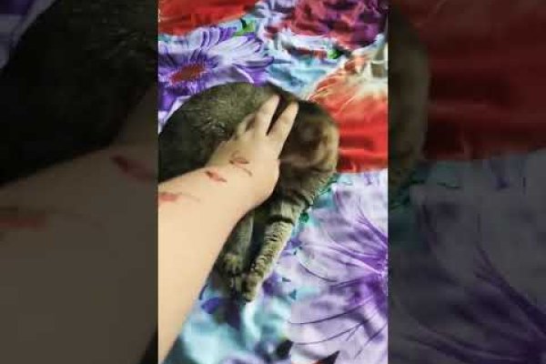 Кракен шоп это