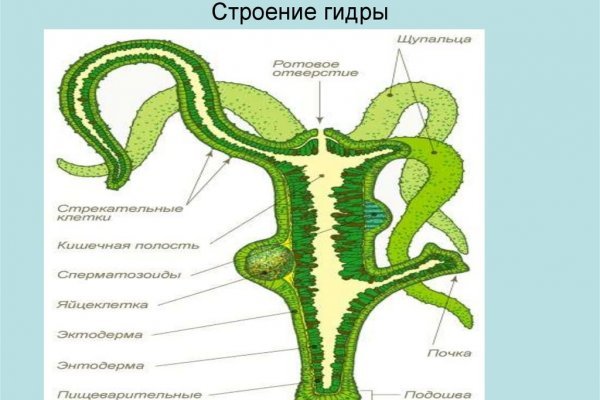 Kraken даркнет рынок