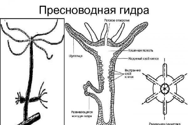 Что такое кракен плейс