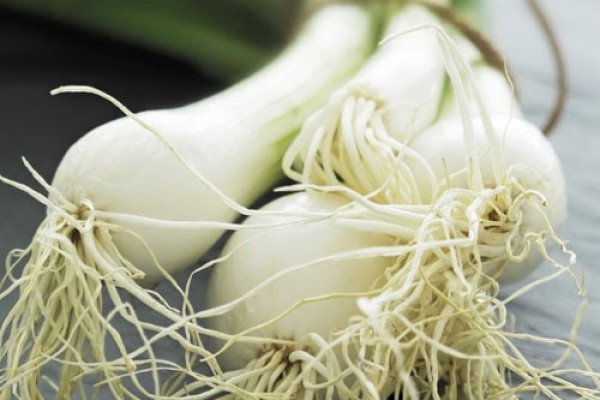 Ссылка на кракен